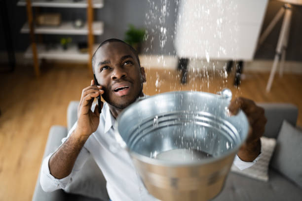 Best Sewage cleanup and water damage restoration  in Sarand, AL