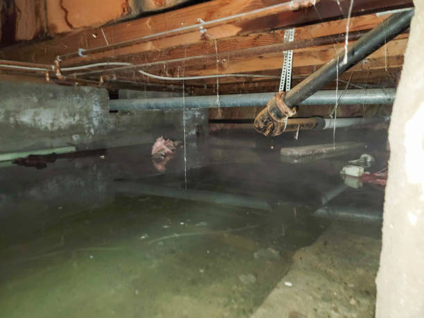 Best Water damage restoration insurance claims  in Sarand, AL