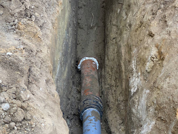 Best Flood restoration services  in Sarand, AL