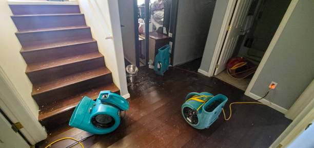 Best Flood damage cleanup  in Sarand, AL