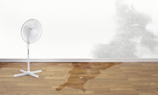 Best Flood damage cleanup  in Sarand, AL