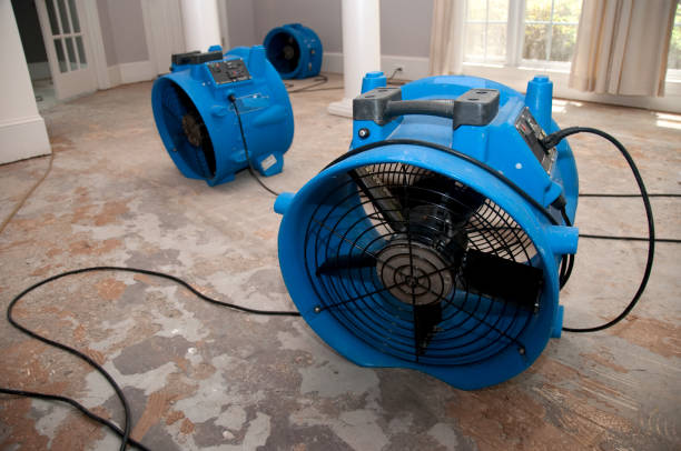 Water damage restoration insurance claims in Saraland, AL
