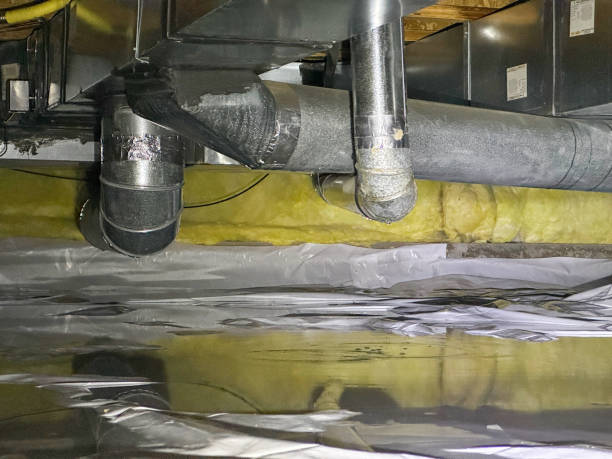 Best Water damage restoration company  in Sarand, AL