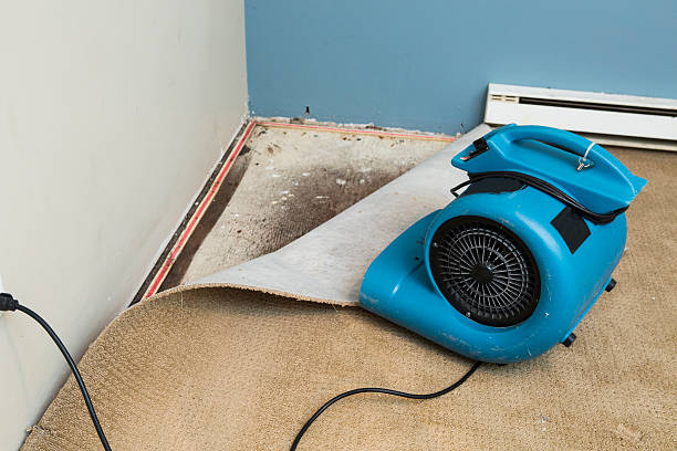 Best Emergency water damage restoration  in Sarand, AL